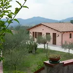 Santa Croce