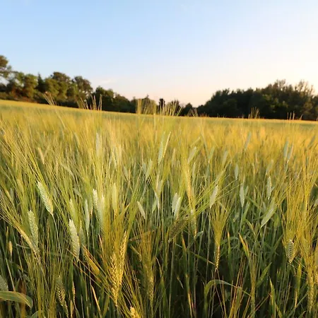 Santa Croce Alojamento de Turismo Rural
