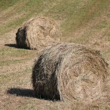 Alojamento de Turismo Rural Santa Croce Fossato di Vico
