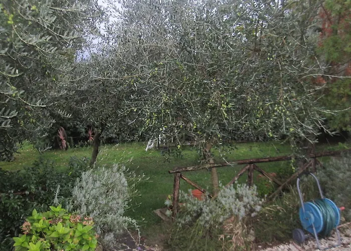 Santa Croce Fossato di Vico