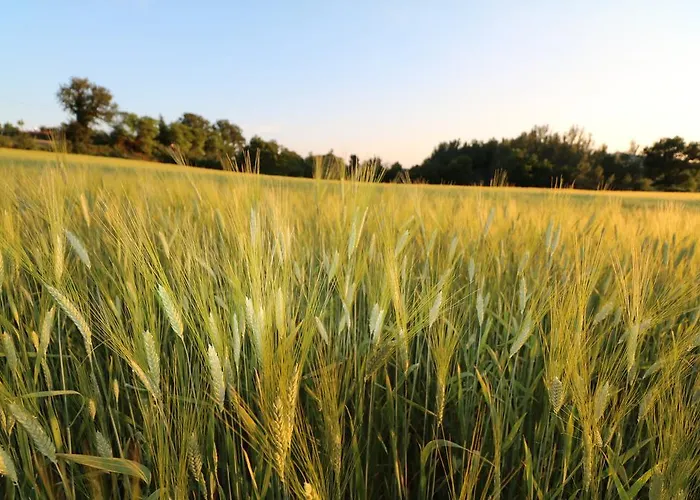 Santa Croce Gospodarstwo agroturystyczne