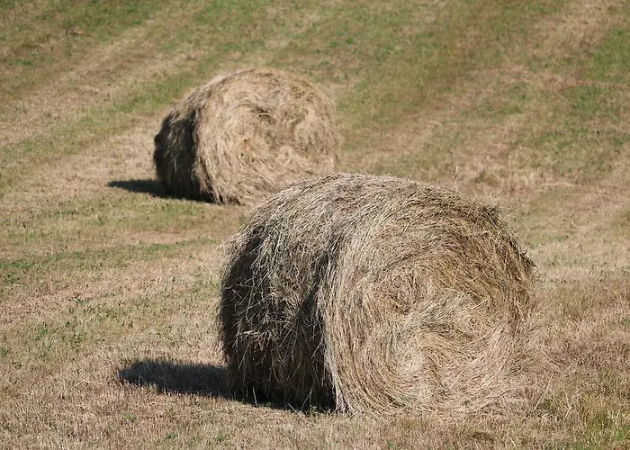 Farma Santa Croce Fossato di Vico